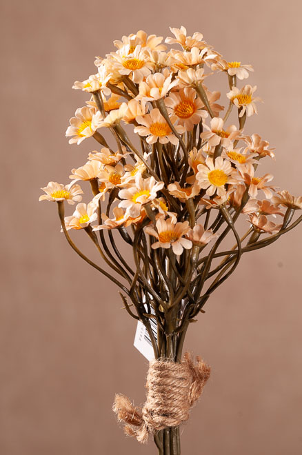 F413-C Dry Daisy Bundle 27 cm krémová